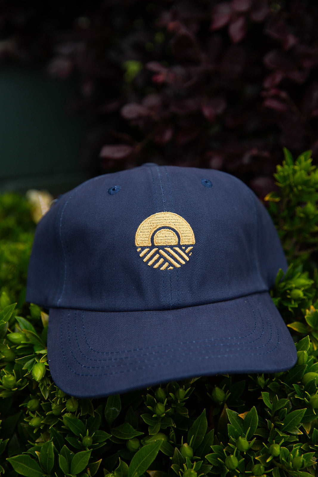 Kaleo Logo Cap