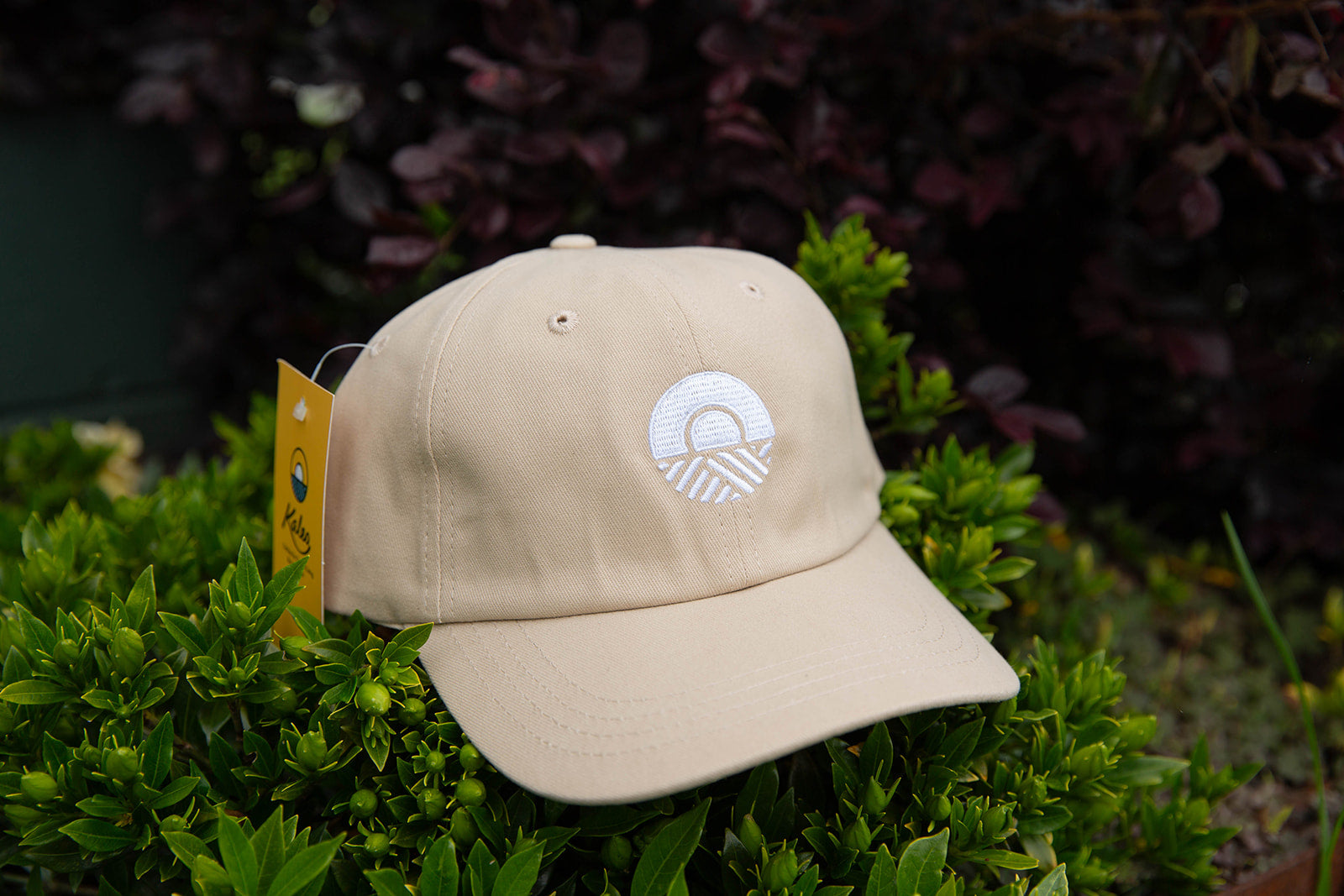 Kaleo Logo Cap