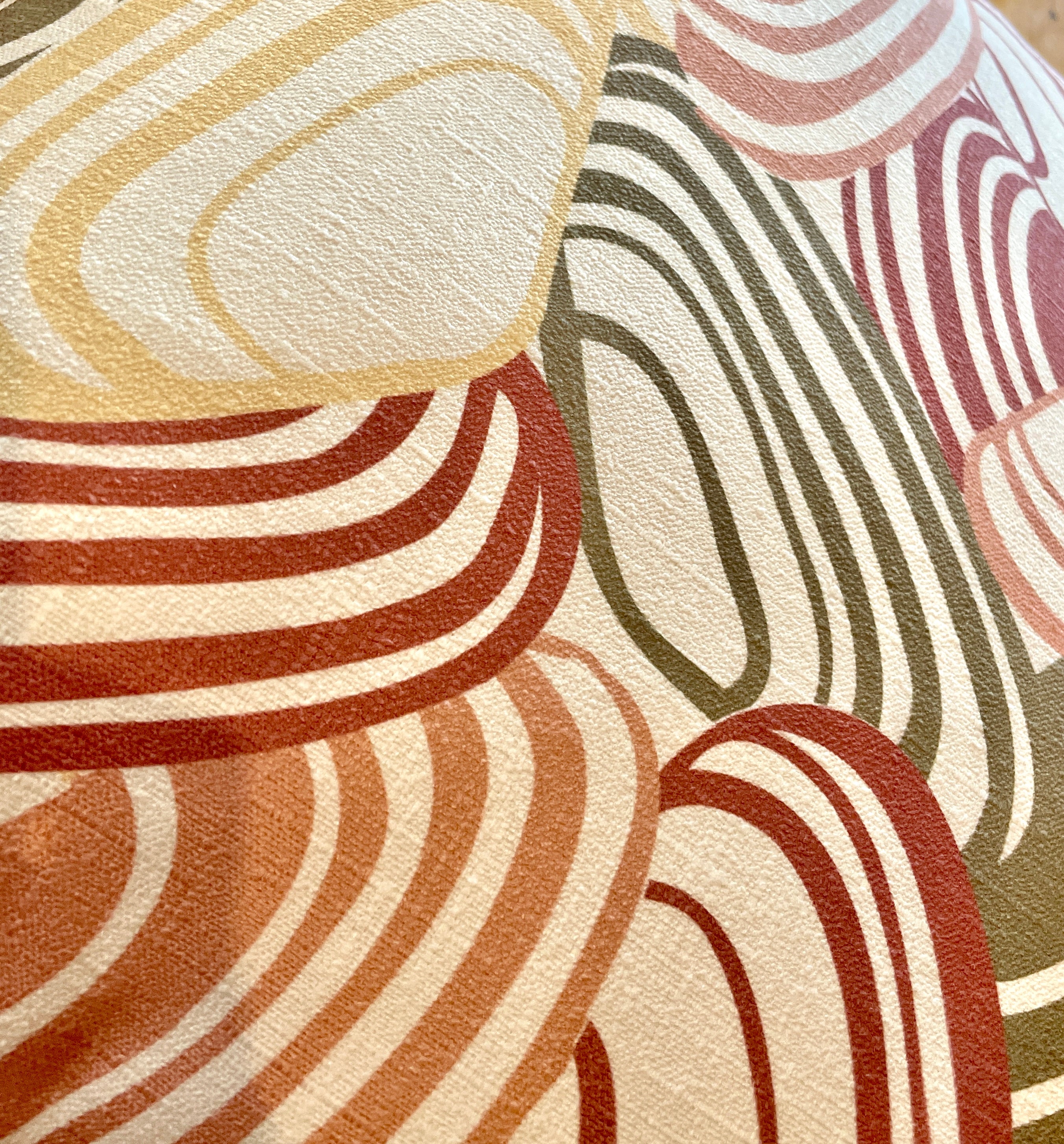 Home décor New Zealand – Pipi shell cushion cover (throw pillow case) with coastal NZ print, NZ-designed by Kaleo; unique Kiwi gift for home or bach